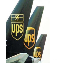 Stabilizing Amazon Logistics UPS Express China to USA Logistics Agent